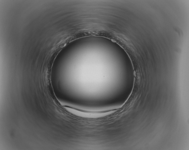 X0000114021060200910091409