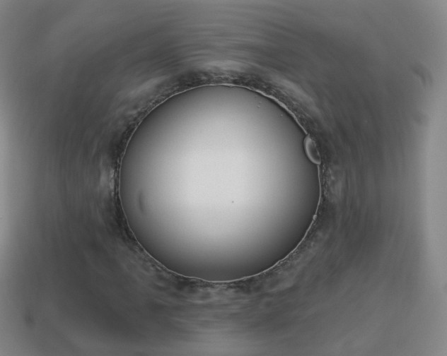 X0000114021061200910091409