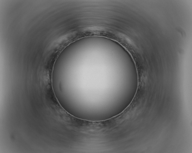 X0000114021062200910091409