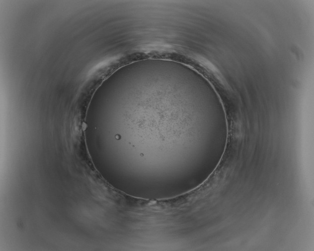 X0000114021063200910091409