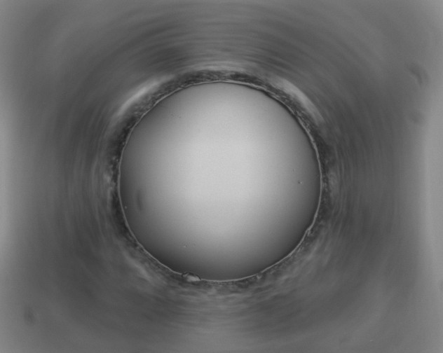 X0000114021064200910091409