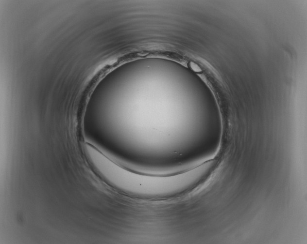 X0000114021065200910091409