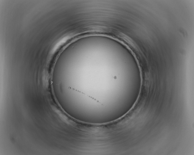 X0000114021067200910091409