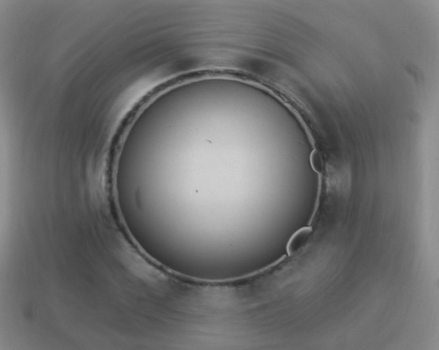 X0000114021068200910091409