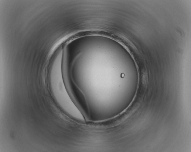 X0000114021069200910091409