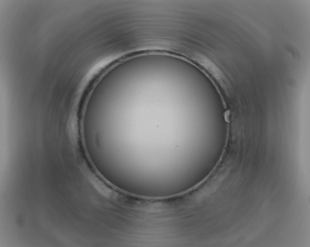 X0000114021072200910091409