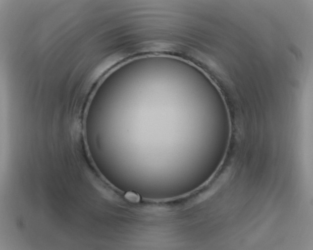 X0000114021073200910091409