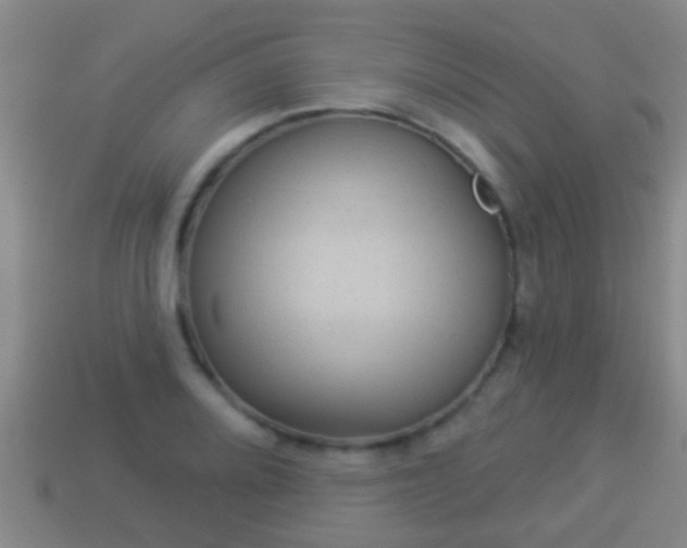 X0000114021080200910091409