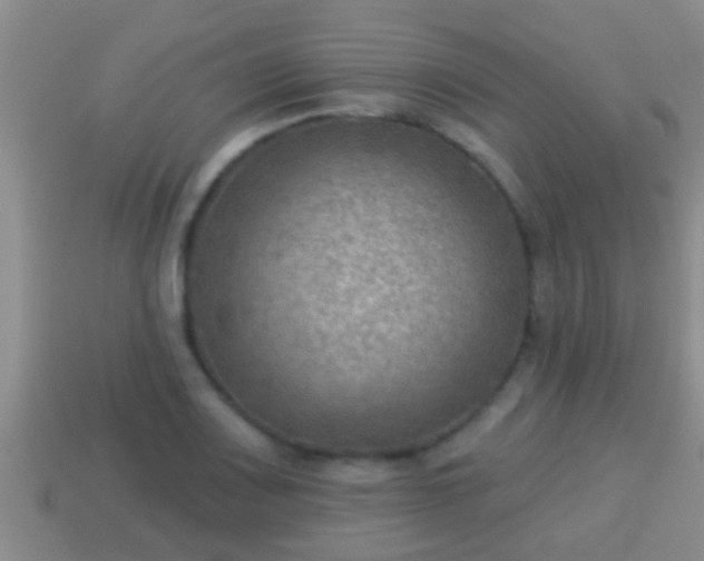 X0000114021083200910091409