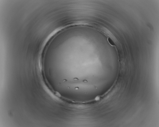 X0000114021084200910091409