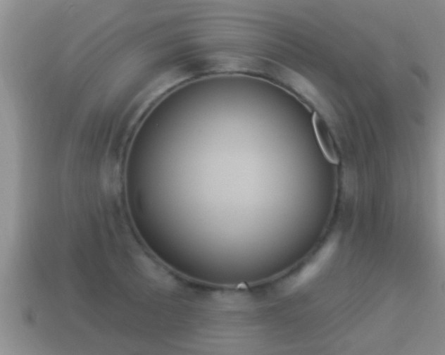 X0000114021089200910091409