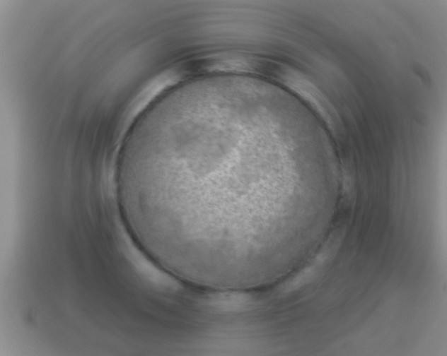 X0000114021090200910091409