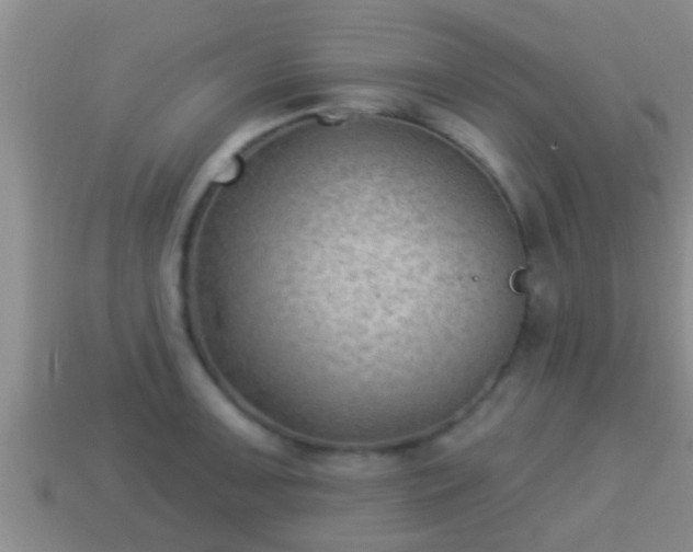 X0000114021091200910091408