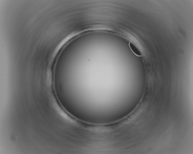X0000114021092200910091408