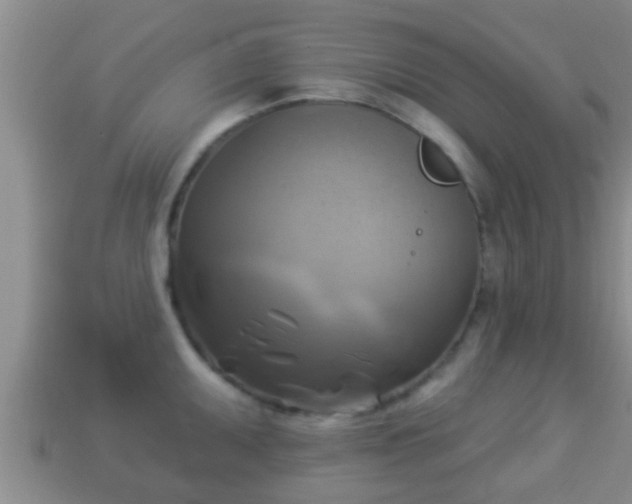 X0000114021095200910091408