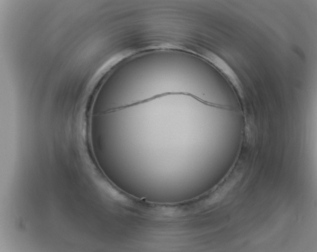 X0000114021096200910091408