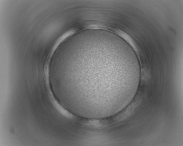 X0000114021098200910091408