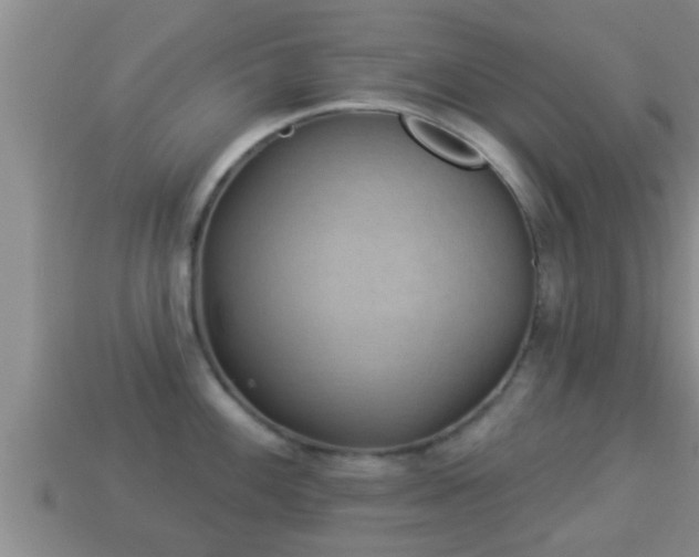 X0000114021100200910091408
