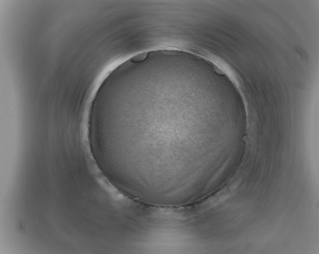 X0000114021104200910091408