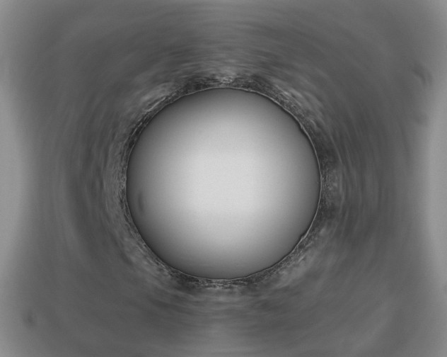 X0000114021105200910091408