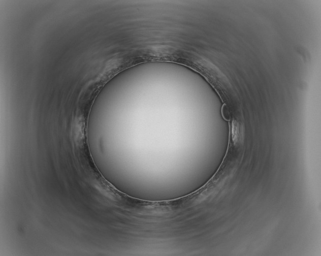 X0000114021107200910091408