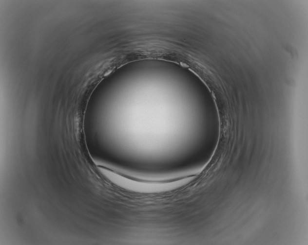X0000114021108200910091408