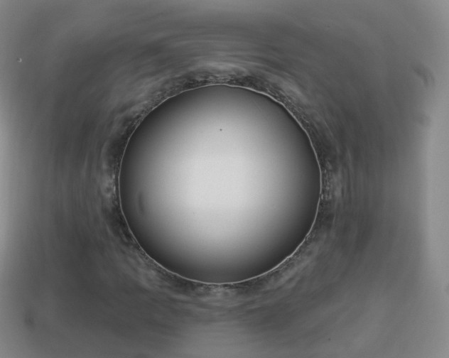 X0000114021109200910091408