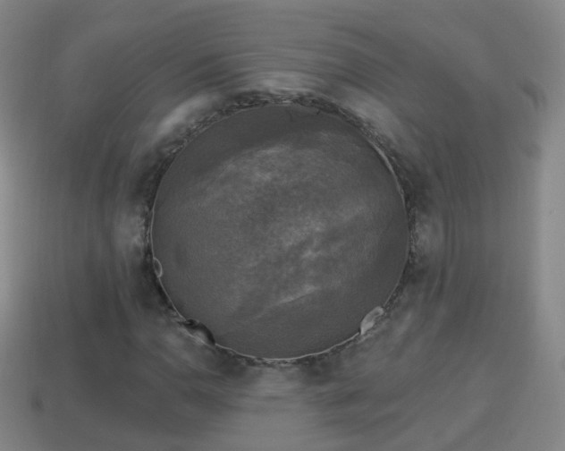 X0000114021110200910091408