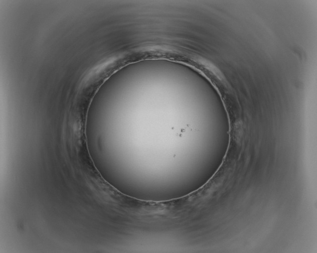 X0000114021111200910091408