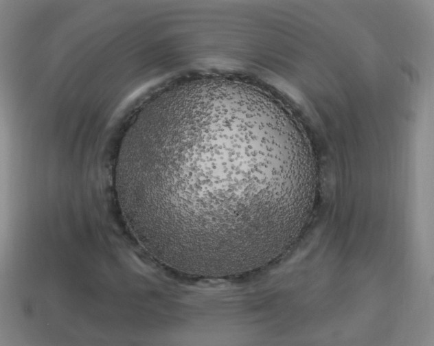 X0000114021112200910091408