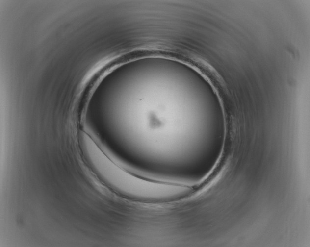 X0000114021114200910091408