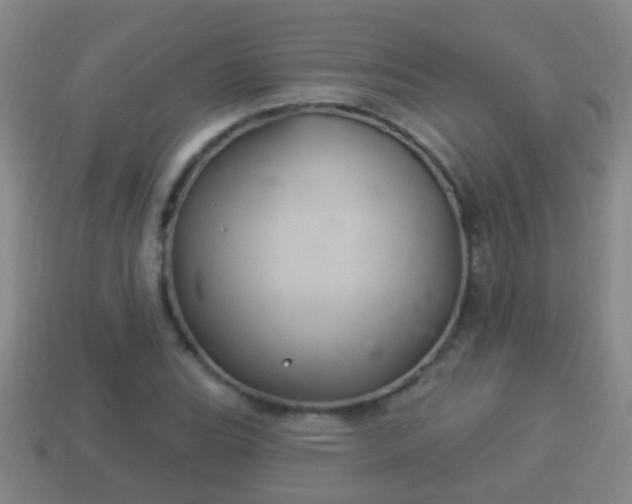 X0000114021119200910091408