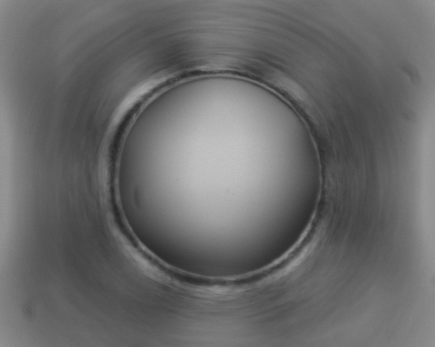 X0000114021122200910091408