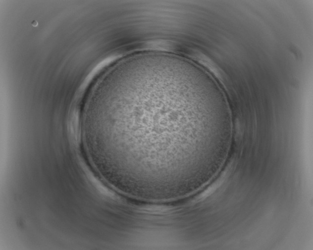 X0000114021123200910091408