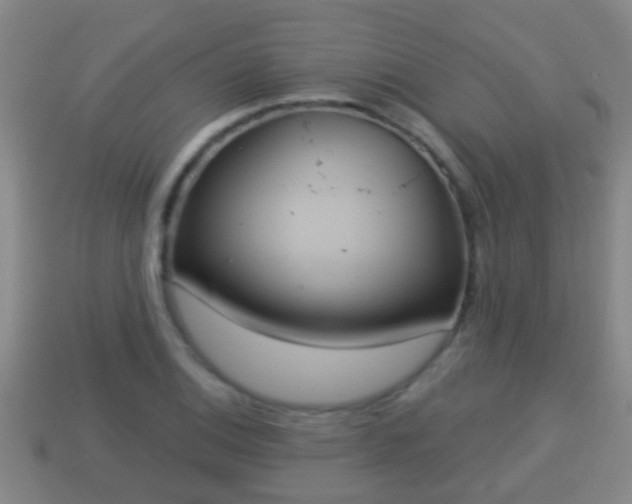 X0000114021124200910091408