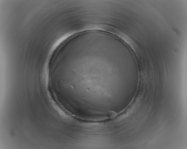 X0000114021127200910091408