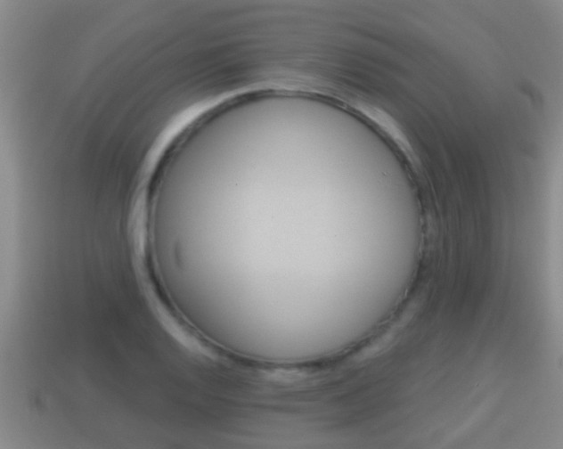 X0000114021128200910091408