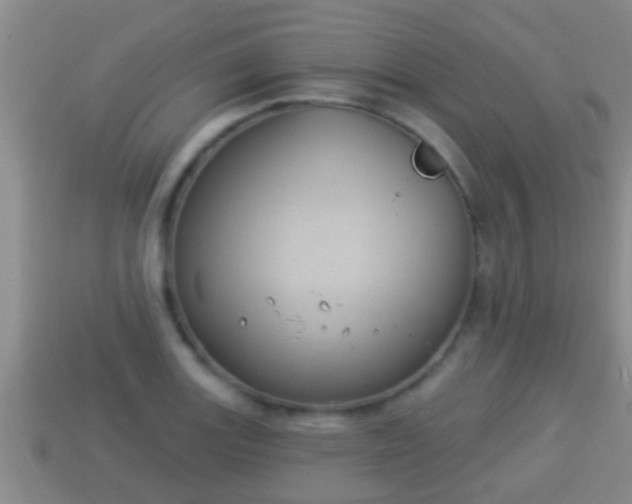 X0000114021131200910091408