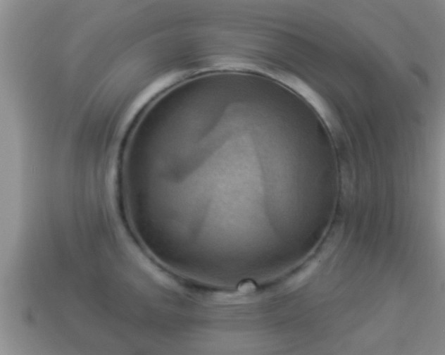 X0000114021142200910091408