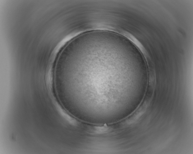 X0000114021144200910091408