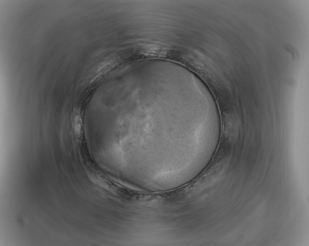 X0000114021154200910091408