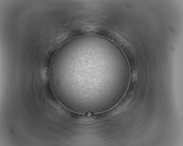 X0000114021156200910091408