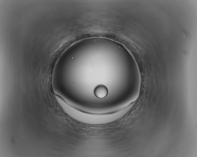 X0000114021157200910091408