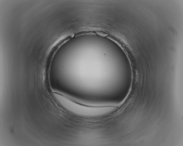 X0000114021165200910091407