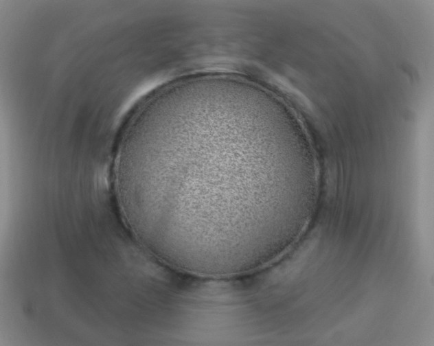 X0000114021166200910091407