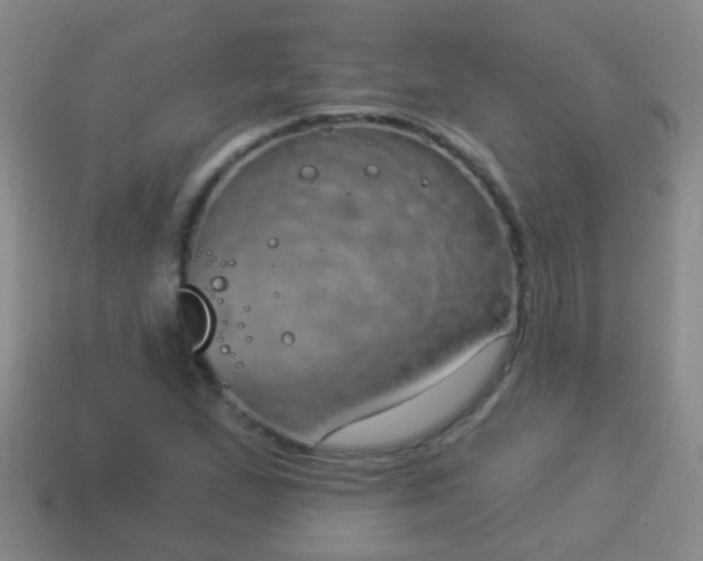 X0000114021167200910091407