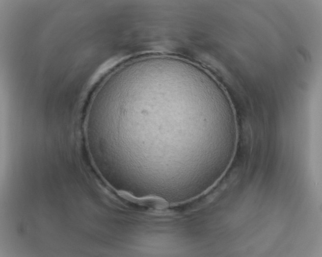 X0000114021168200910091407