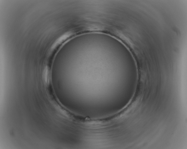 X0000114021171200910091407