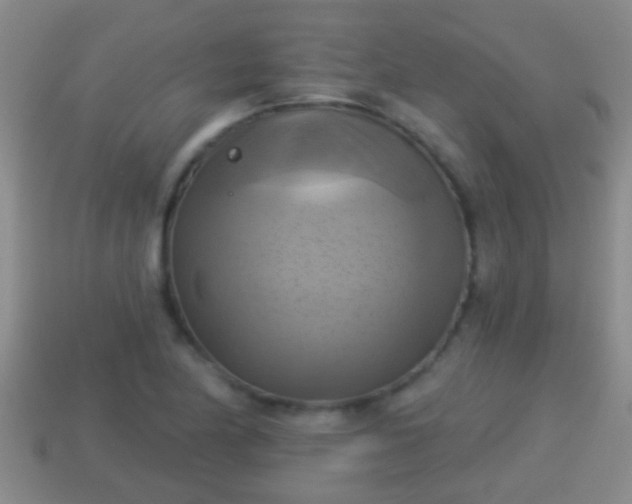 X0000114021174200910091407