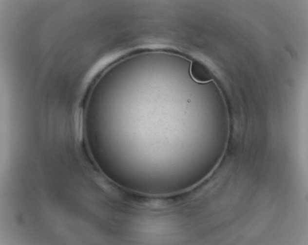 X0000114021175200910091407